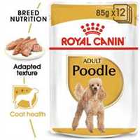 Royal Canin Breed Health Nutrition Poodle Adult Wet Dog Food - 12x85g Pouches